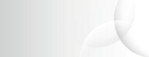 Wall Mural - white background with a smooth gradient style. the background features white abstract shapes, creati