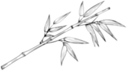 Wall Mural - monochrome halftone illustration of a bamboo branch with leaves, retro style