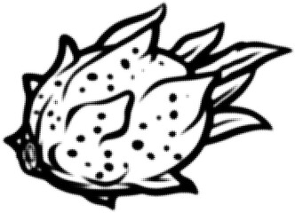 Wall Mural - black and white stippled illustration of a dragon fruit design concept