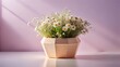 © Nipa - Delicate white flowers in a geometric pot with soft light