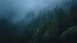 © Will-han - Expansive mist-covered valley with towering fir trees, layers of atmospheric fog drifting through the forest, golden morning light filtering softly