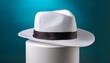 © Lori - white hat on white pedestal