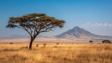 Lone acacia tree stands in golden savanna under a clear blue sky, a lone mountain peak rising in the distance, creating a serene African landscape