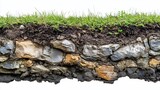 Revealing the layered earth, a cross-section of soil, rocks and greenery