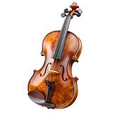 violin isolated on white