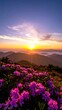 © Waba - Vibrant sunrise over misty mountains, foreground filled with blooming purple flowers