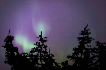 Wall Mural - aurora borealis, polar lights with milky way stars.