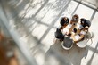 © Moritz - Six business people seated around a round table in a meeting, seen from an overhead view, discussing strategy and collaborating
