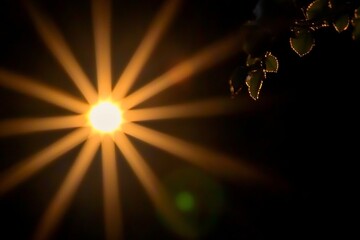 Wall Mural - radiant sunbeam burst a stellar outburst of light illuminating the night sky with ethereal glow