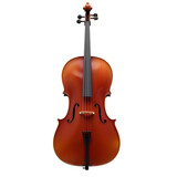 Elegant Cello: Timeless Craftsmanship and Musical Elegance