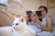 © hakase420 - リラックスする猫と読書中の飼い主