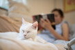 © hakase420 - リラックスする猫と読書中の飼い主