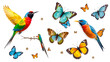 © Breanna - Set of colorful birds and butterflies isolated on white background.