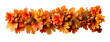© Svetlana Kolpakova - Autumn Leaves and Acorns Garland for Seasonal Decor and Fall Inspiration on transparent background. Halloween or Thanksgiving decor
