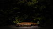 © serhii - natural stones on dark background for product presentation podium