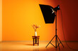 © Pixel-Shot - Modern photo studio with floral decor in vase, stool and professional lightening equipment