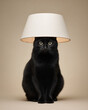 © Azamat - Black cat with a white lampshade on its head, sitting calmly on a beige background in a humorous and creative studio portrait