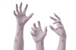 © Michael - Three decaying zombie hands reaching out from a transparent background, creating a spooky and eerie atmosphere