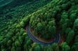 © apa - Winding road through lush green forest (1)