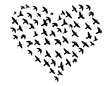 © adi - A minimalist, striking silhouette of a heart formed by a flock of birds in flight. The solid black shapes create a powerful visual, ideal for design projects and decor