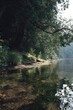 © Wida - Tranquil forest edge meets a clear, shallow lake.