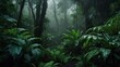 © Constantine M - Moody rainforest under heavy rain, thick mist and lush foliage, dark green cinematic jungle background