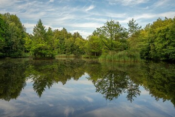 Wall Mural - tranquil lake reflection