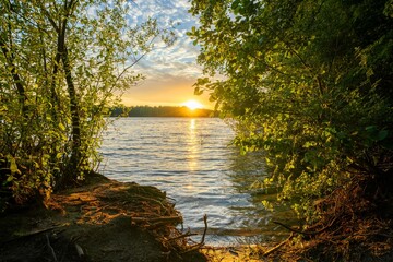 Wall Mural - serene lake sunset framed by trees