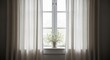 © Arie - Window with curtains soft focus natural light potted plant on sill serene home interior high quality professional