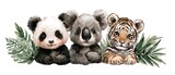 AKWARELOWE MALUCHY: PANDA, KOALA I TYGRYS