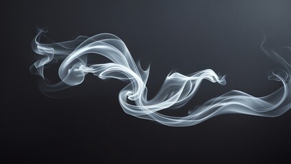 Wall Mural - abstract smoke design: fluid, gray, and white swirls on dark background