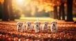 ©  S u n n y B u n n y - A litter of adorable yellow Labrador Retriever puppies running through colorful autumn leaves. Five playful dogs enjoying a sunny day in a park.