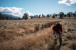 © Phoebe - female farmer reeling a electric fence a farm putting up a steel post fence with high tensile wire in australia women working in agriculture farming