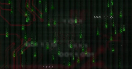 Wall Mural - Displaying skull icon at hacking terminal center, with falling green binary digits and red tracings