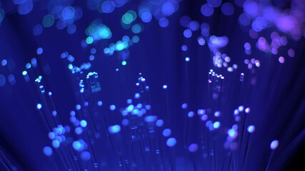 Glowing blue fibers radiate light, creating a bokeh effect of bright, out-of-focus circles