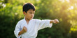 © Milan - Asian boy practicing a karate punch outdoors. Child in a white karate gi is practicing a punch in green sunlit bokeh background.