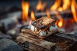 © Abba - Delicious s'more with melted marshmallow and chocolate, by campfire light. Perfect for camping, sweets, bonfire, and outdoor cooking themed projects.