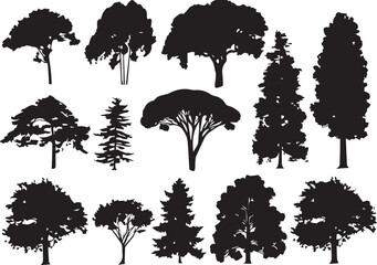 A black silhouette set of diverse trees, including pine, birch, and oak, with detailed branches and leaves, ideal for nature-themed vector designs