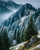 Snowy, frosted mountainside with coniferous forest