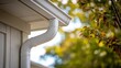 © HASHIM - Close-up of a white downspout on a house, surrounded by vibrant green and yellow foliage.