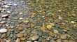 © Strive Studio - Shallow water flowing over riverbed with many smooth round rocks and pebbles.
