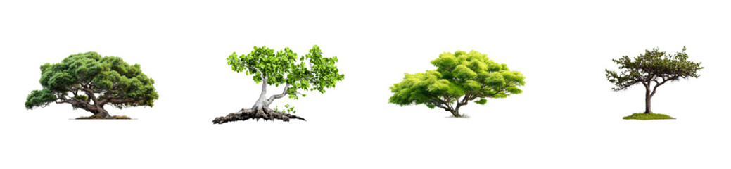 Four distinct trees with lush green foliage on a dark background, cut out transparent