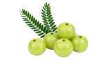 Isolated Indian Gooseberry (Amla) with Leaves