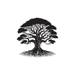 Banyan Tree Silhouette in Black on White Background.