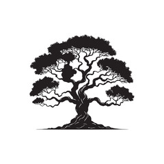 Banyan Tree Silhouette in Black on White Background.