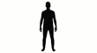 © Miu - A black silhouette of a standing person isolated against a white background.