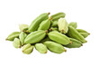 © All in Stock - Fresh green cardamom pods isolated on transparent or white background. Aromatic spice used in cooking, baking, beverages, and gourmet culinary recipes.