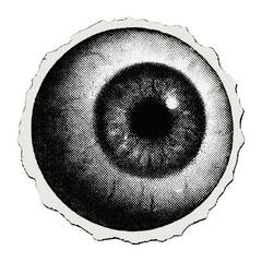 Wall Mural - vintage eye illustration art vector