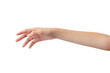 © Teerapong - young woman's hands in beautiful poses on white background