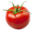 © Abu - Single, ripe tomato, vibrant red, smooth skin, green stem (2)
